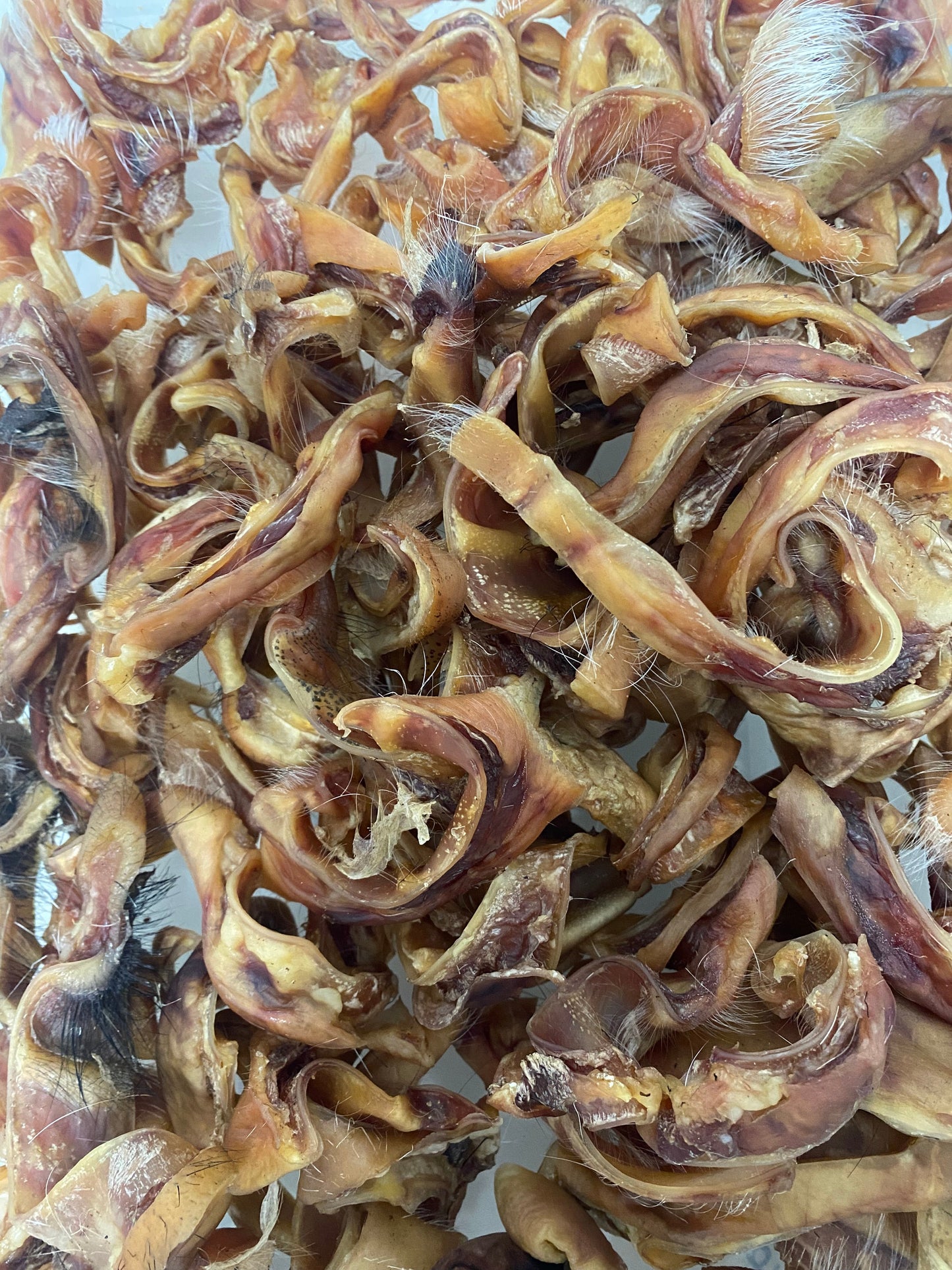 Close-up of dried fish strips on a white background