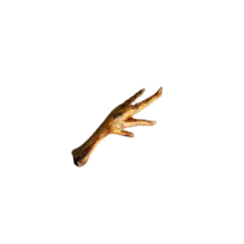 Wooden branch on a white background