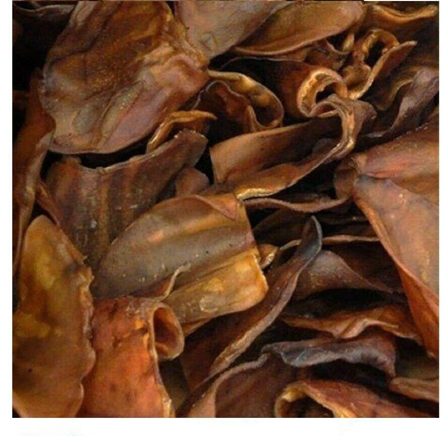 Close-up of dried brown leaves